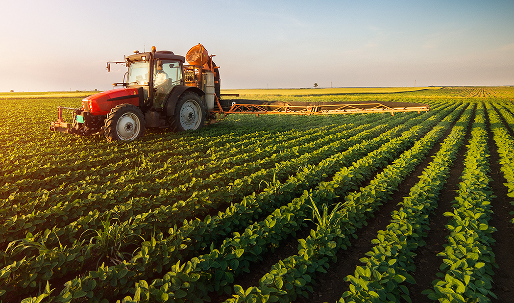 Tractor spraying green crop in a big field.;