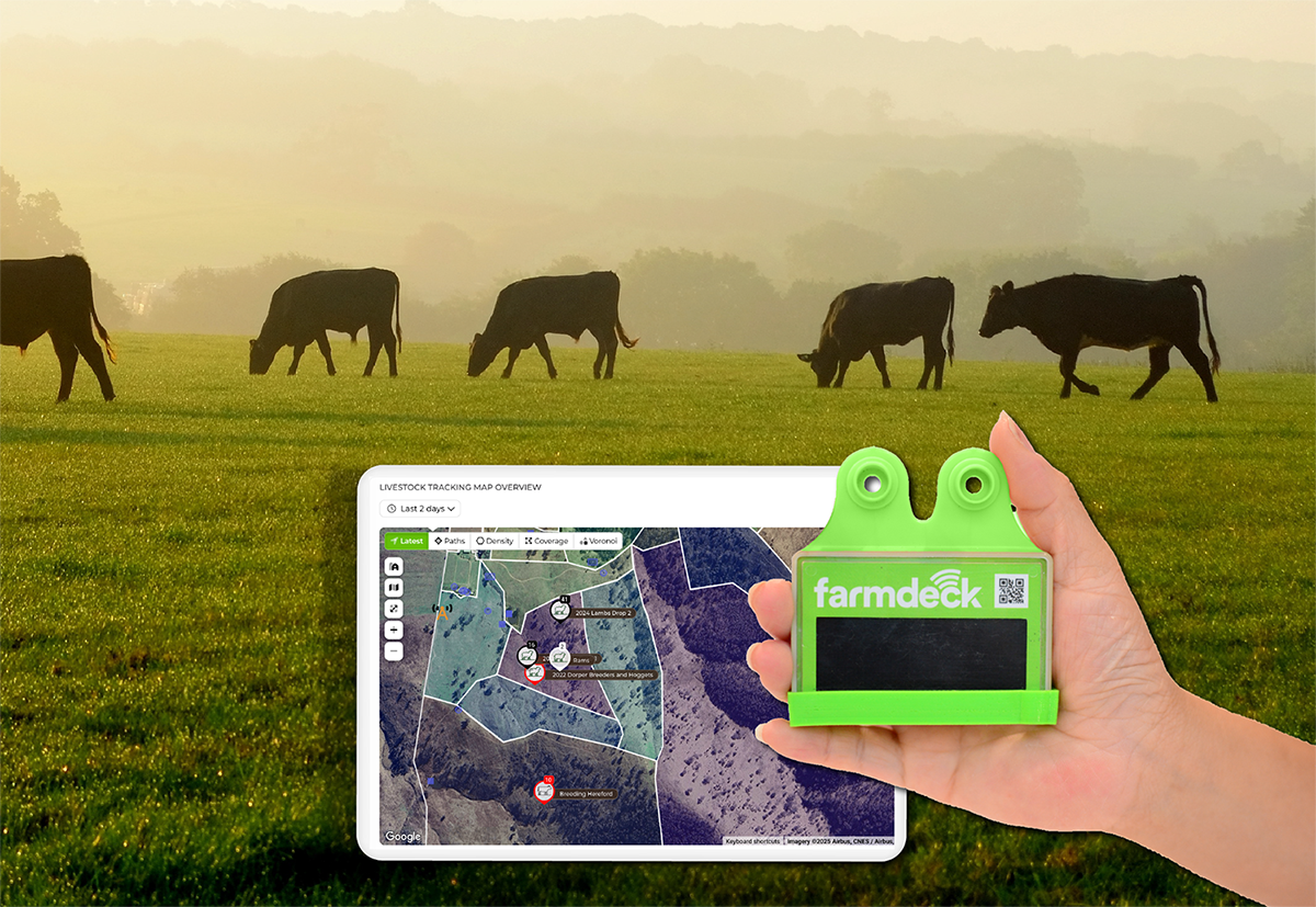 Livestock Ear Tags – More than just tracking livestock